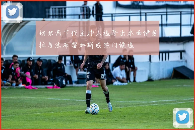 切尔西下任主帅人选浮出水面伊劳拉与法布雷加斯成热门候选